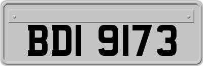 BDI9173