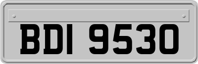 BDI9530