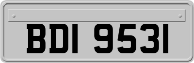 BDI9531
