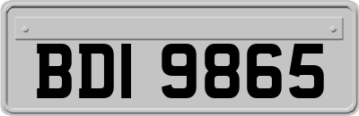BDI9865
