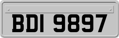 BDI9897