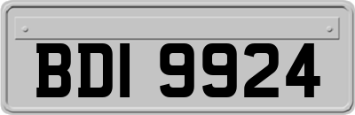 BDI9924
