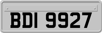 BDI9927