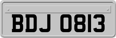 BDJ0813