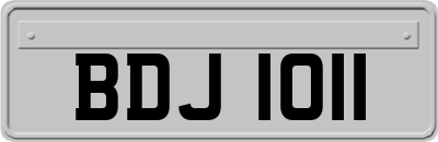 BDJ1011