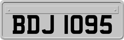 BDJ1095