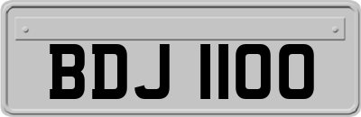BDJ1100