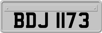 BDJ1173