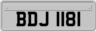 BDJ1181