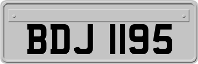 BDJ1195