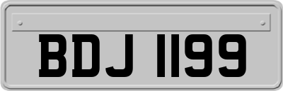 BDJ1199