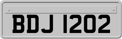 BDJ1202