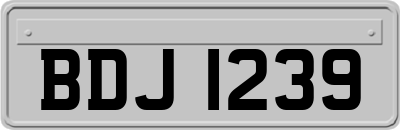 BDJ1239