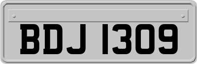 BDJ1309