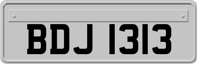 BDJ1313