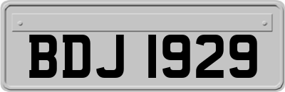BDJ1929