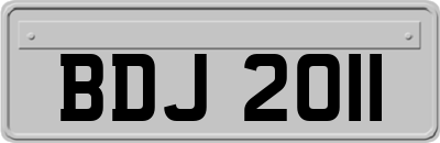 BDJ2011
