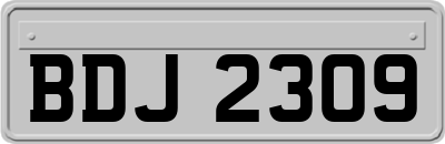 BDJ2309