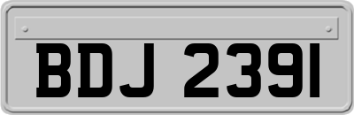 BDJ2391