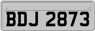 BDJ2873