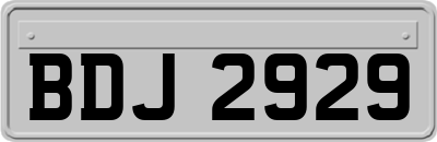 BDJ2929