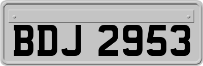 BDJ2953