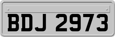 BDJ2973