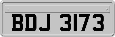 BDJ3173