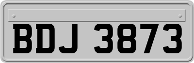 BDJ3873
