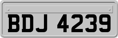 BDJ4239
