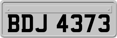 BDJ4373