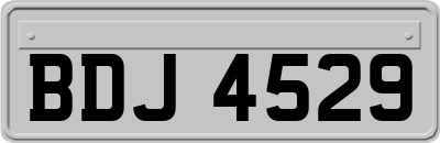 BDJ4529