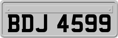 BDJ4599