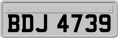 BDJ4739