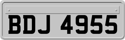BDJ4955