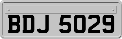 BDJ5029