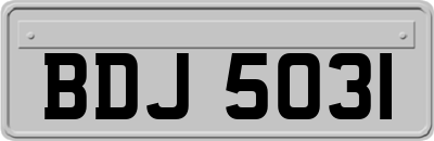 BDJ5031