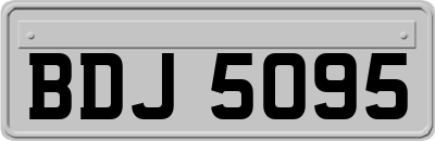 BDJ5095