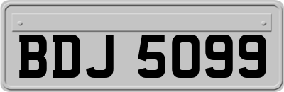 BDJ5099