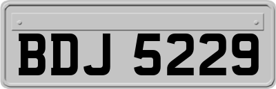 BDJ5229
