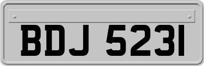 BDJ5231