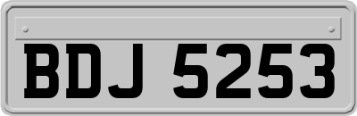 BDJ5253