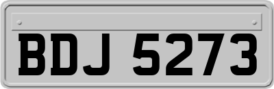 BDJ5273