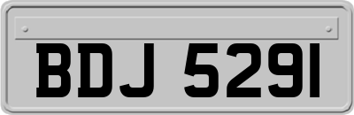 BDJ5291