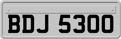 BDJ5300