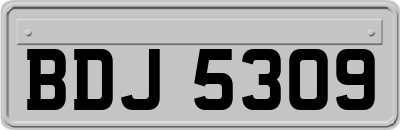BDJ5309