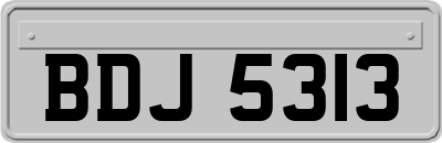 BDJ5313