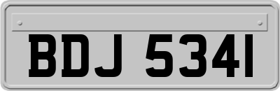 BDJ5341