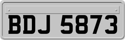 BDJ5873