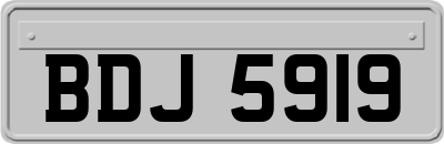 BDJ5919